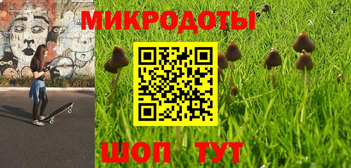 Псилоцибиновые грибы MAGIC MUSHROOMS Карачаевск