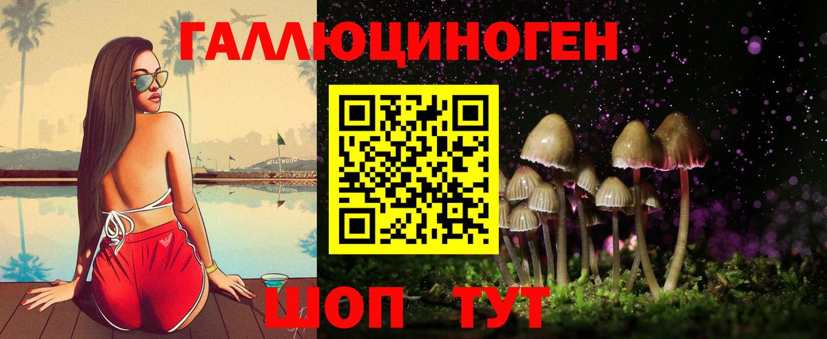 Галлюциногенные грибы Psilocybe  Вход с VPN  как найти закладки  Карачаевск 